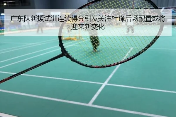 广东队新援试训连续得分引发关注杜锋后场配置或将迎来新变化